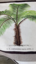 Load and play video in Gallery viewer, Golf towel - Botanic Palm Tree taupe