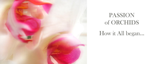 Passion for Orchids… How It All Began